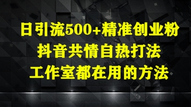 日引流500+精准创业粉，抖音共情自热打法，工作室都在用的方法-好运多多