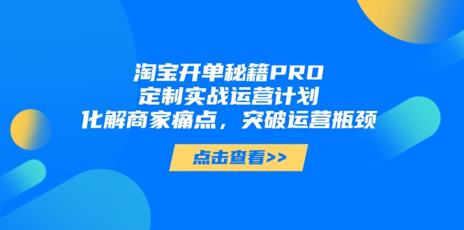 淘宝开单秘籍PRO，定制实战运营计划，化解商家痛点，突破运营瓶颈-好运多多
