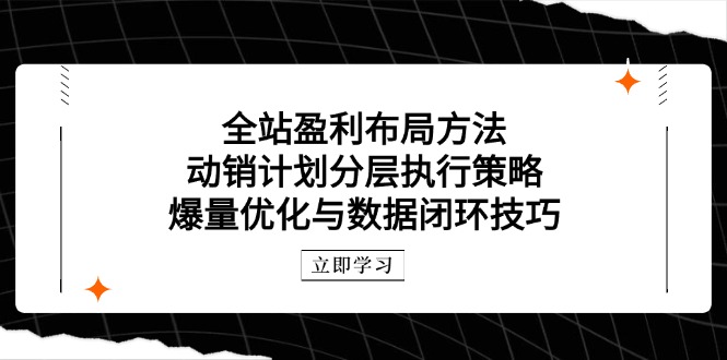 全站盈利布局方法：动销计划分层执行策略，爆量优化与数据闭环技巧-好运多多