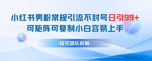 小红书男粉常规引流不封号日引99+变现简单 可矩阵可复制小白容易上手-好运多多