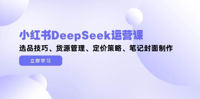 小红书DeepSeek运营课，选品技巧、货源管理、定价策略、笔记封面制作-好运多多