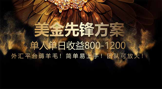 免费技术！小众赛道！一年布局抵三年努力，每日800+-好运多多