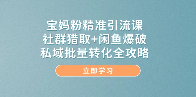 宝妈粉精准引流课，社群猎取+闲鱼爆破，私域批量转化全攻略-好运多多