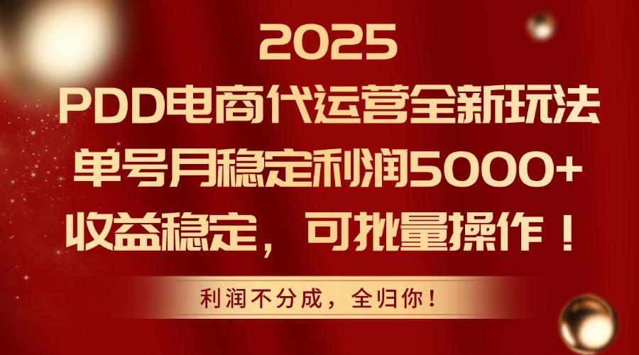 2025PDD电商代运营全新玩法，单号月稳定利润5000+，收益稳定，可批量操作-好运多多