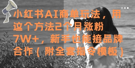小红书AI商单玩法，用这个方法2个月涨粉7W+，新手也能接品牌合作(附全套指令模板)-好运多多