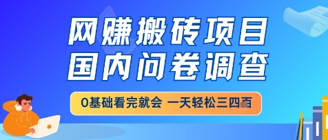 网创搬砖项目，国内问卷调查，小白轻松上手，一天三四张的也不难，干就完了【揭秘】-好运多多