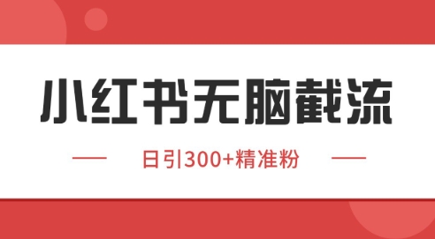 小红书截流同行客源，独家野路子获客玩法 日引200+暴力获客【揭秘】-好运多多