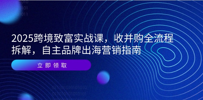 2025跨境致富实战课，收并购全流程拆解，自主品牌出海营销指南-好运多多