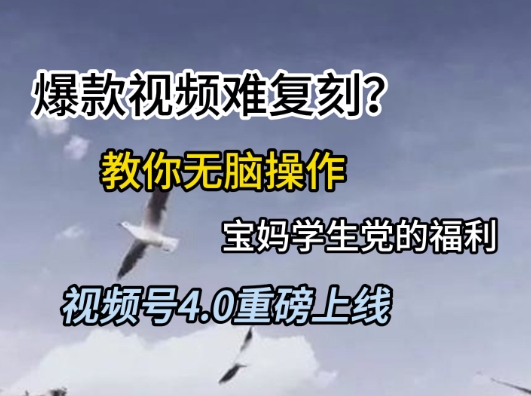 视频号4.0重磅上线，爆款视频难复刻？教你无脑操作宝妈学生党的福利【揭秘】-好运多多