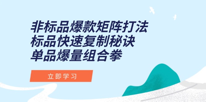 非标品爆款矩阵打法，标品快速复制秘诀，单品爆量组合拳-好运多多