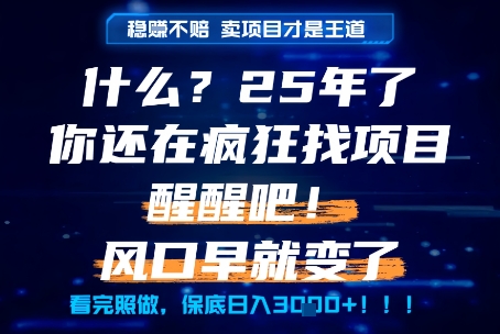 什么？25年你还在疯狂找项目做，醒醒吧，看完这些你全都懂了！【揭秘】-好运多多