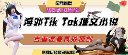 海外tiktok小说推文暴力项目，高停留率，高转化率，上手后一天搞顿饭钱不是问题-好运多多