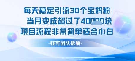 每天稳定引流30个人 当月变成超过了4个W项目流程非常简单适合小白-好运多多