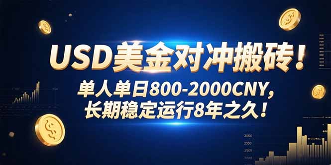 USD美金对冲搬砖!单人单日800-2000CNY，长期稳定运行8年之久!-好运多多