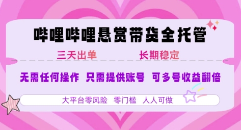 2025年B站风口带货项目 仅需提供账号 全程托管 轻松月入1w+-好运多多