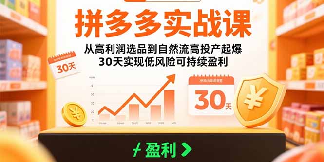 拼多多实战课：从高利润选品到自然流高投产起爆 30天实现低风险可持续盈利-好运多多