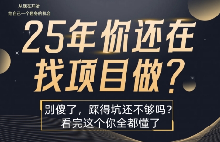 25年，你还在疯狂的找项目吗？别傻了，看完这个你都懂了【揭秘】-好运多多