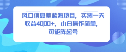 风口信息差蓝海项目，实测一天收益4k+，小白操作简单，可矩阵起号-好运多多