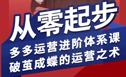 拼多多运营进阶系统课，从零起步，多多运营进阶体系课，破茧成蝶的运营之术-好运多多