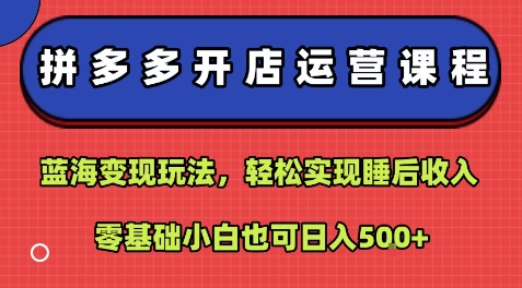 拼多多开店运营课程：蓝海变现玩法，轻松实现睡后收入，零基础小白也可日入5张-好运多多