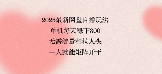 2025最新网盘自撸玩法，单机每天稳下3张，无需流量和拉人头，一个人就可轻松矩阵，全网独一份【揭秘】-好运多多