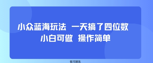 小众蓝海玩法 一天搞了四位数 小白可做 操作简单-好运多多