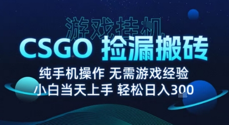 8月最新游戏搬砖,CSGO纯挂G,不需要玩游戏,实现真挂G,月入1W+【揭秘】-好运多多