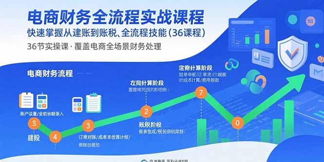 电商财务全流程实战课程：快速掌握从建账到报税的全流程技能(36节课-好运多多