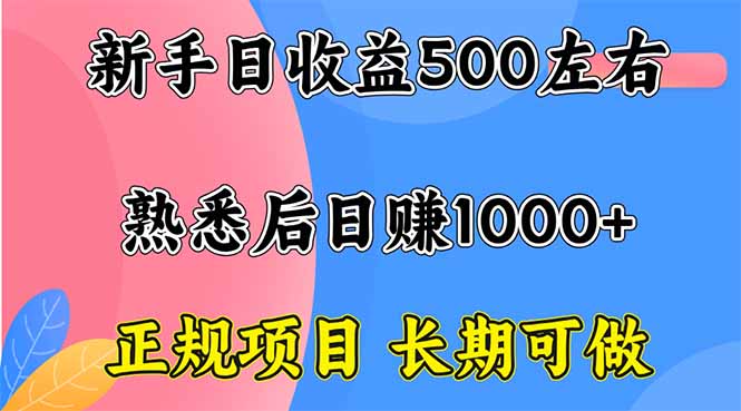 新手日收益500+ 正规项目 长期可做-好运多多