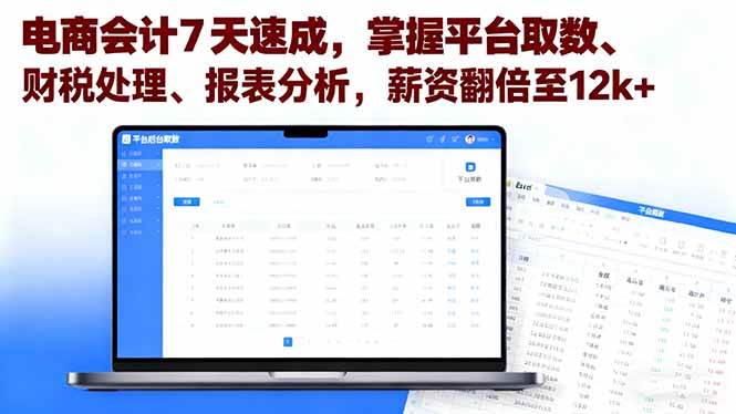 （16192期）电商会计7天速成，掌握平台取数、财税处理、报表分析，薪资翻倍至12k+-好运多多