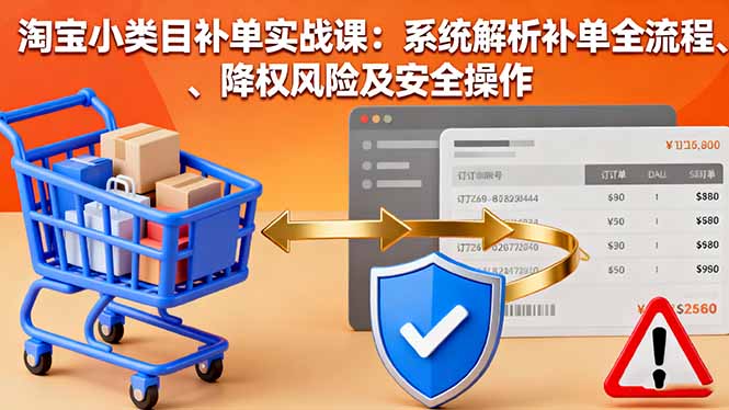 淘宝小类目补单实战课：系统解析补单全流程、降权风险及安全操作-好运多多