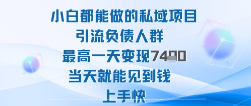 2025年小白都能做的私域项目引流负债人群最高一天变现1k+高变现难度低当天就能见到钱上手快-好运多多