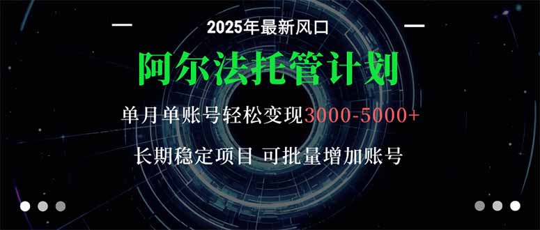 阿尔法托管计划 单账号月入3000-5000，长期稳定项目，新手小白轻松上手。-好运多多