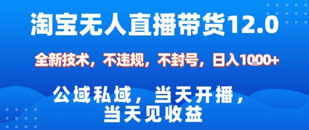 淘宝无人直播12.0，公域私域技术，不封号，不违规布局双十一流量风口，日入1k(独家技术)【揭秘】-好运多多