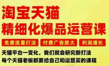 淘宝天猫精细化爆品运营课，免费流量打法-付费广告放大-利润增长-三大核心痛点，一次全部解决-好运多多