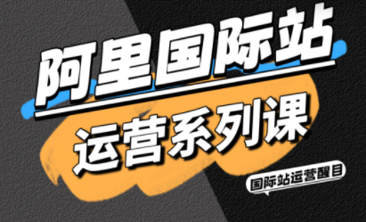 醒目老师·阿里国际站运营系列课(更新11月)-好运多多