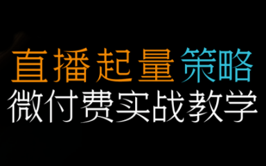 半野老师·直播带货起量与微付费必学课视频号-好运多多