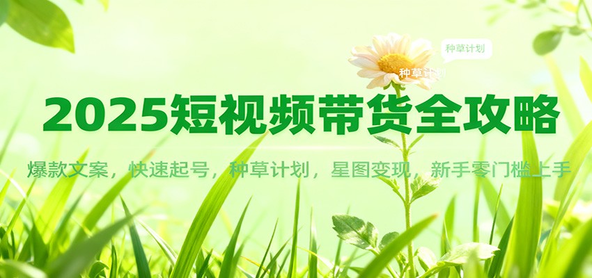 2025短视频带货全攻略：爆款文案，快速起号，种草计划，星图变现，新手零门槛上手-好运多多