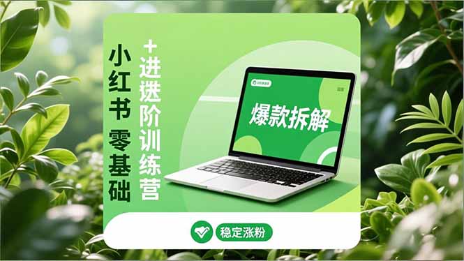 小红书零基础+高阶训练营：安全养号、爆款拆解、长效运营，实现稳定涨粉与变现-好运多多