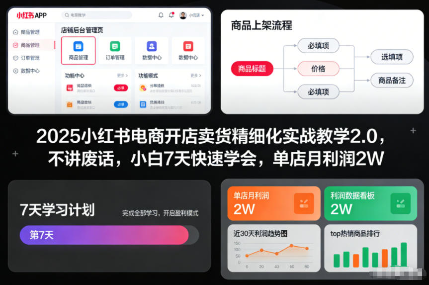 2025小红书电商开店卖货精细化实战教学2.0，不讲废话，小白7天快速学会，单店月利润2W-好运多多