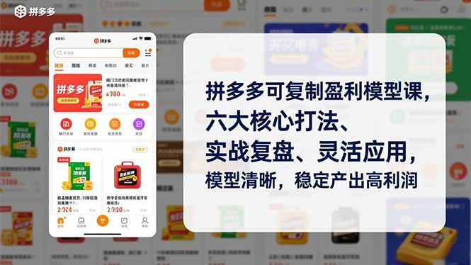 拼多多可复制盈利模型课，六大核心打法、实战复盘、灵活应用，模型清晰，稳定产出高利润-好运多多