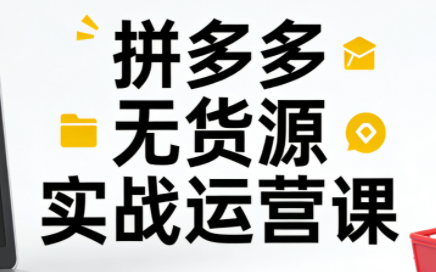 子枫老师·拼多多无货源实战运营课(更新12月)-好运多多
