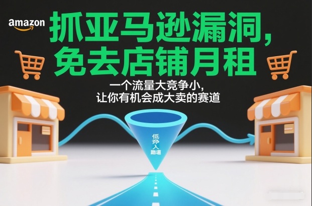抓亚马逊漏洞，免去店铺月租，一个流量大竞争小，让你有机会成大卖的赛道-好运多多