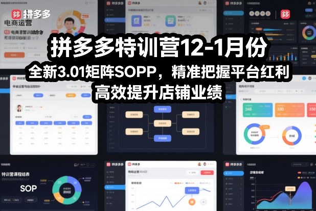 拼多多特训营12-1月份，全新3.01矩阵Sop，精准把握平台红利，高效提升店铺业绩-好运多多