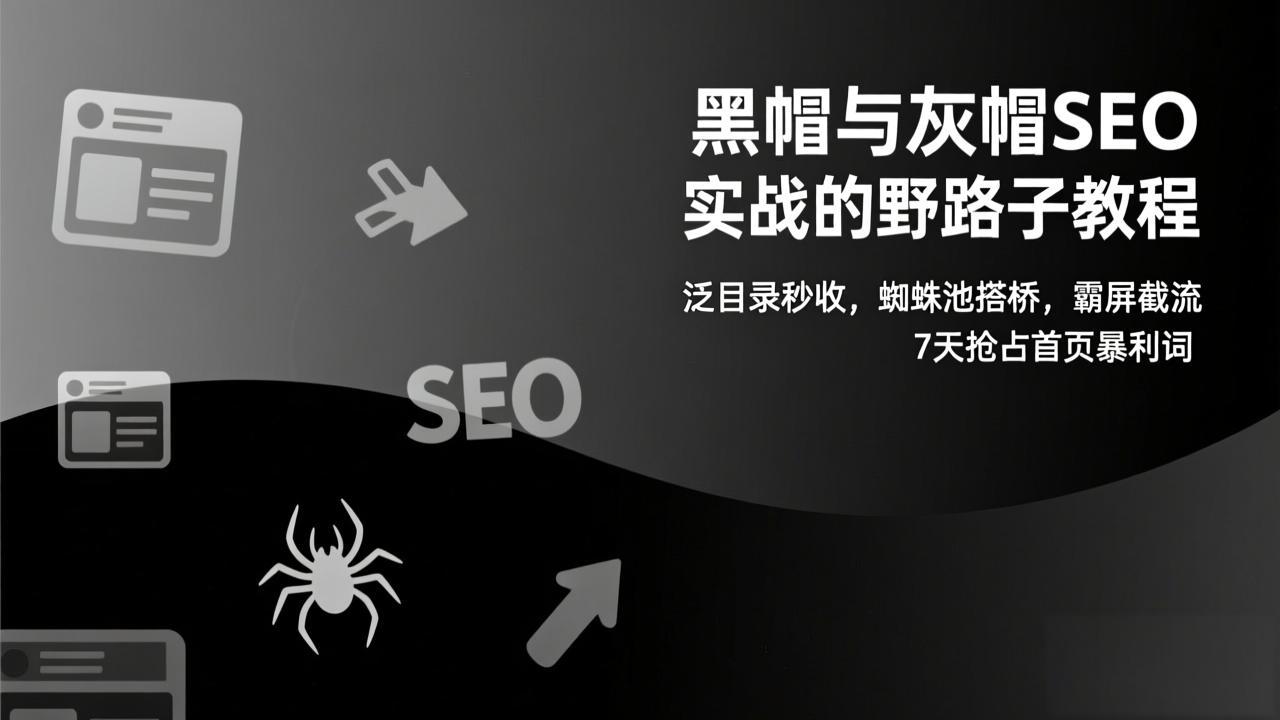 黑帽与灰帽SEO实战的野路子教程：泛目录秒收，蜘蛛池搭桥，霸屏截流，7天抢占首页暴利词-好运多多