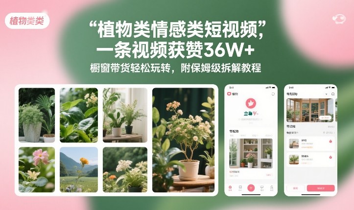 植物类情感类短视频，一条视频获赞36W+，橱窗带货轻松玩转，附保姆级拆解教程-好运多多