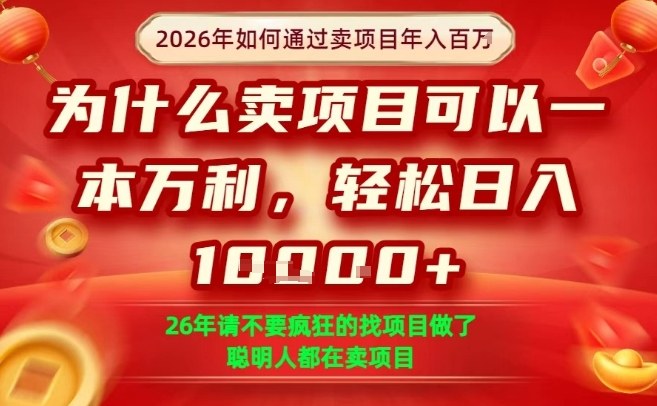 一单净利润1K+,26年想年入100个W,死磕卖项目就够了【揭秘】-好运多多