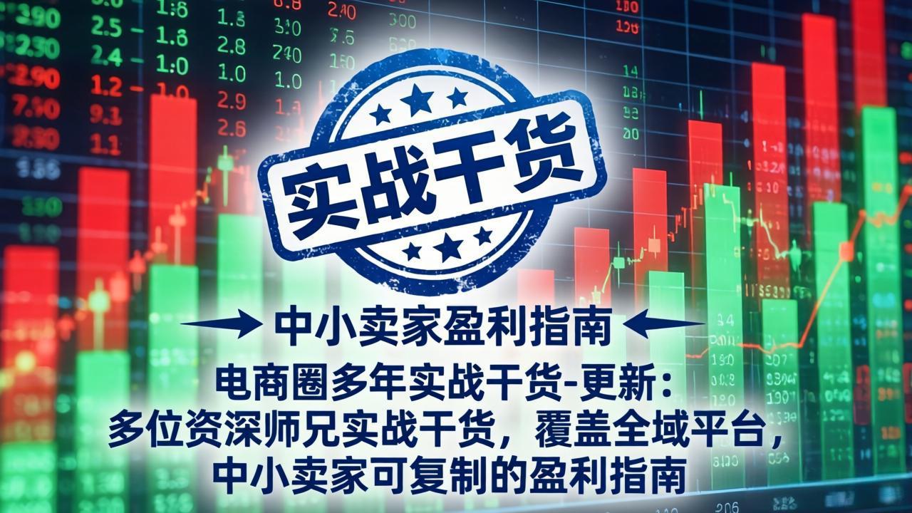 电商圈多年实战干货-更新4月：多位资深师兄实战干货，覆盖全域平台，中小卖家可复制的盈利指南-好运多多