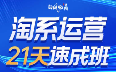 白凤电商·淘系运营21天速成班(更新4月)-好运多多