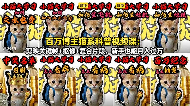 百万博主猫系科普视频课:剪映关键帧+抠像+复合片段,新手也能月入过万-好运多多
